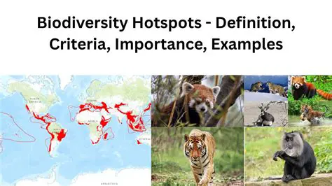 Examples of Biodiversity Hotspots