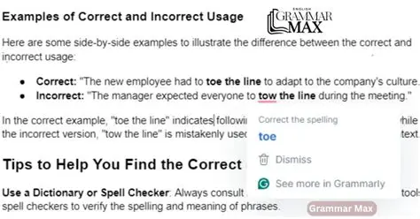 Examples of Correct and Incorrect Usage