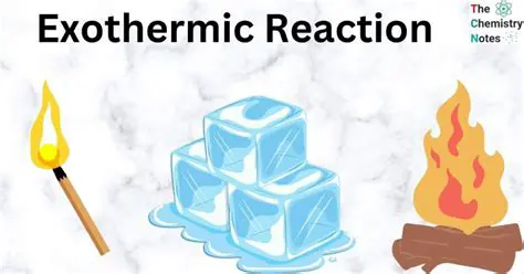 Examples of Exothermic Formation Reactions