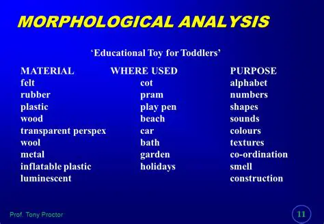 Examples of Morphological Analysis