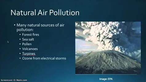 Examples of Natural Air Pollutants
