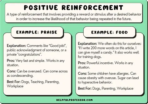 Examples of Positive Reinforcement