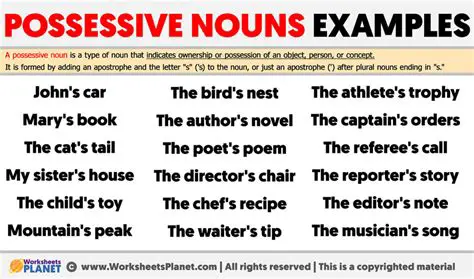 Examples of Possessive Nouns