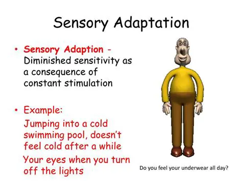 Examples of Sensory Adaptation