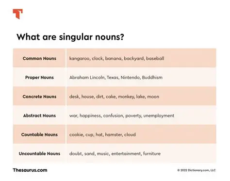 Examples of Singular Nouns
