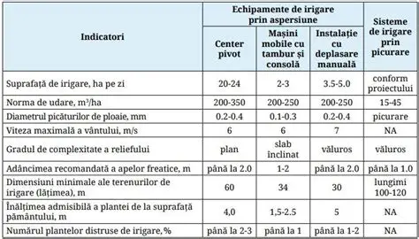 Exemple de aplicare a regulilor suplimentare