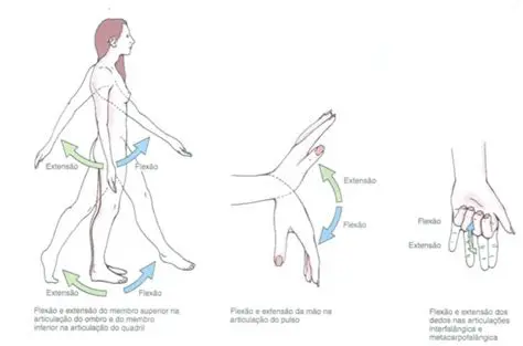 Exemplos de Movimentos Isolados