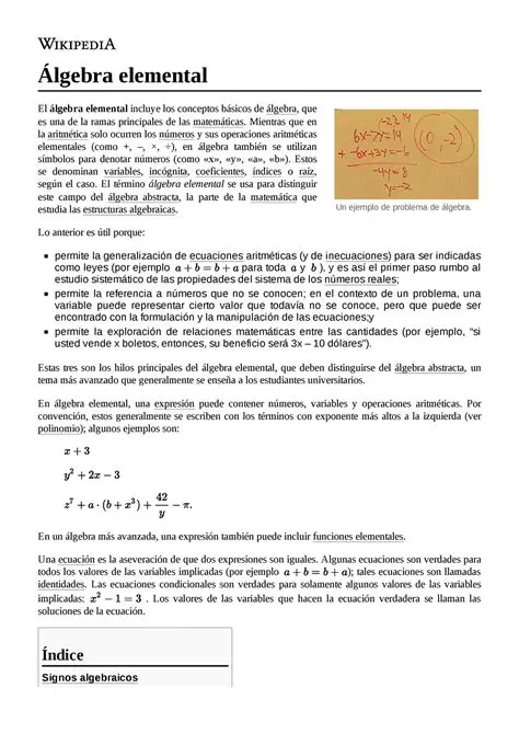 Exemplu de Problema de Algebra