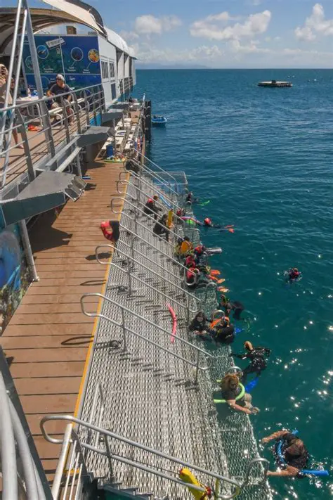 Experience the beauty of the ocean