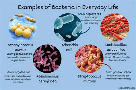 Experiment with different combinations of bacteria
