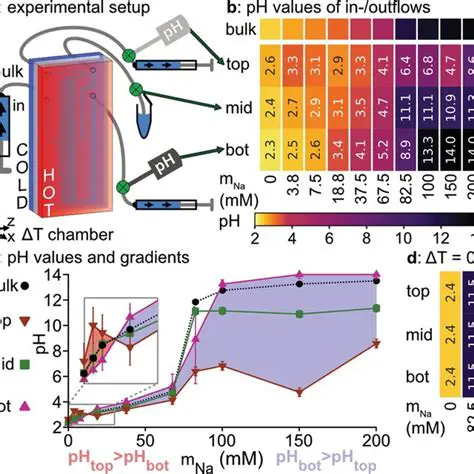 Experimental Setup and Results