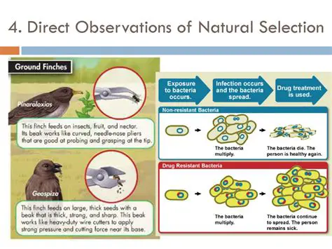 Exploration and Direct Observations