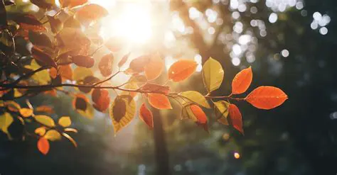 Exploring September's Weather in Minnesota: A Crisp Transition to Autumn