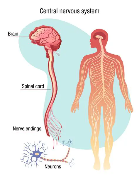 Extended Route and New Functions