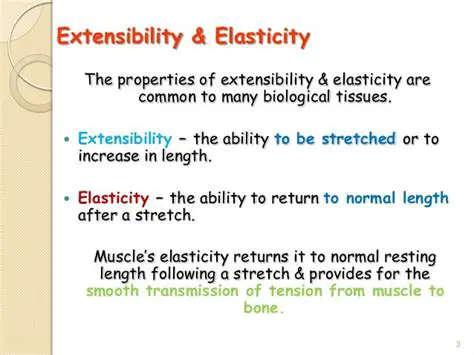 Extensibility and Flexibility
