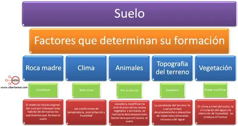 Factores que Afectan al Suelo