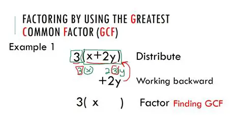 Factoring Expressions by Finding the GCF