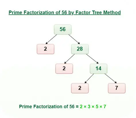 Factorization and Prime Number Detection