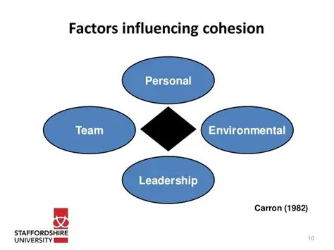 Factors Affecting Cohesion