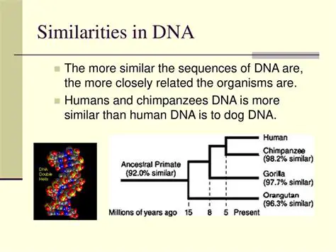 Factors Affecting DNA Similarity