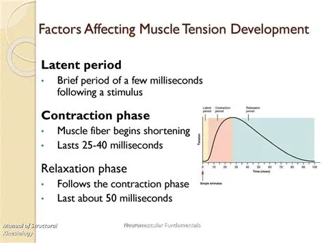 Factors Affecting Magnetic Relaxation