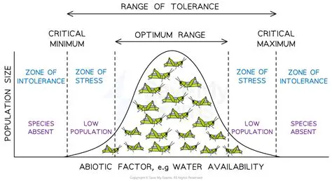Factors Affecting Tolerance Range