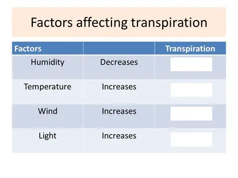 Factors Affecting Transpiration Rate