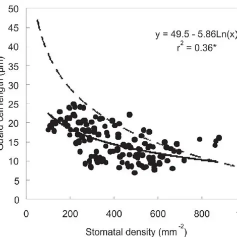 Factors Influencing Stomatal Density