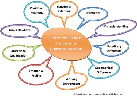 Factors Influencing the Meaning of the Audience