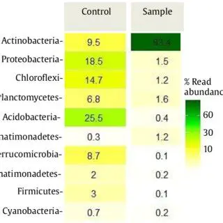 Factors Related to Unsafe Behavior in Palm Oil Harvesters PTPN IV Kebun Bah Jambi 2017