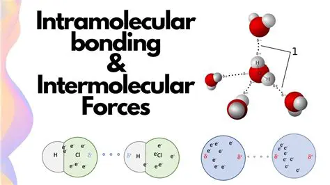 Factors that influence the formation of intramolecular and intermolecular bonds