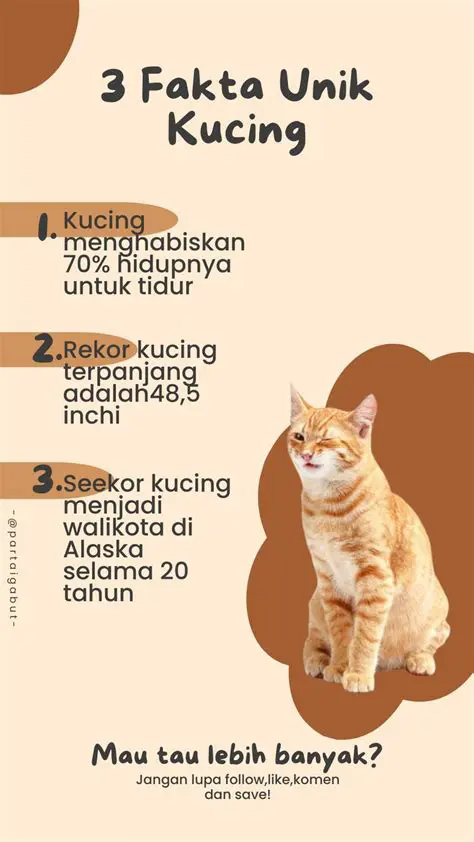 Fakta tentang Kucing yang Mendarat dengan Kaki Terlebih Dahulu