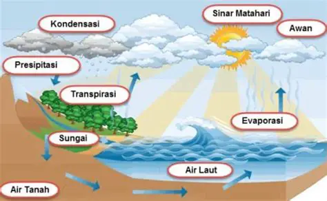 Faktor Utama yang Menyebabkan Kenaikan Permukaan Air Laut