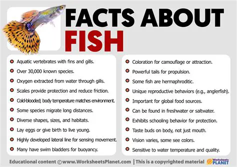 Fascinating Facts About Huge Fish