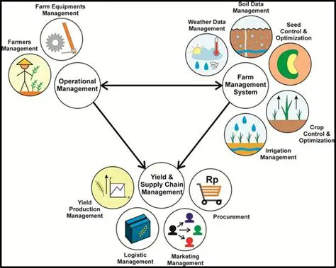 Feasibility Analysis of Onion Farming