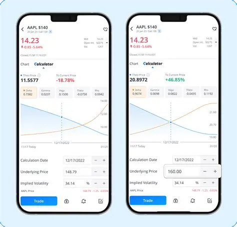 Features of an Option Calculator