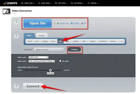 Features of DoremiSoft MPG to FLV Converter