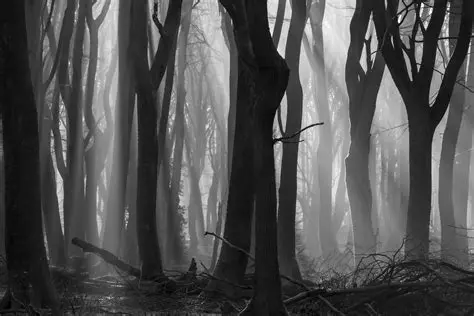 Features of MonochromeProject