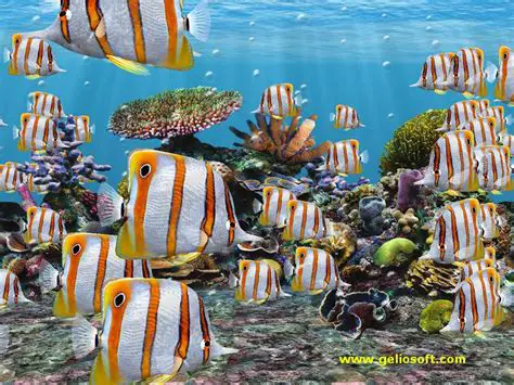 Features of Moving Butterflyfish Wallpaper