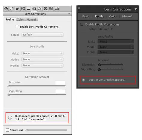 Features of the Adobe Lens Profile Downloader
