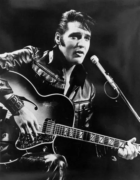 Features of the Elvis Presley Screensaver