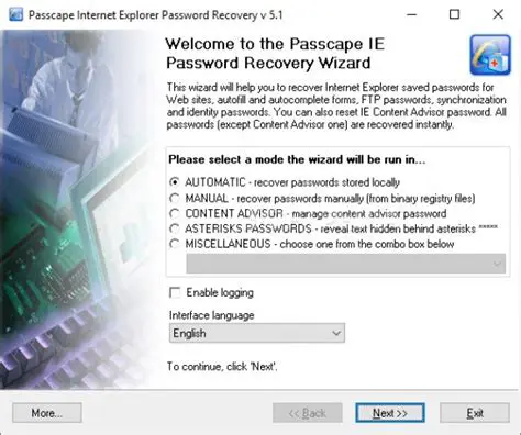Features of the Internet Explorer Password Recovery Utility