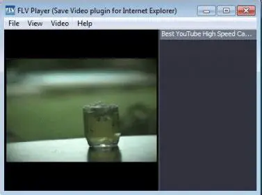 Features of the Save Video Plugin for IE