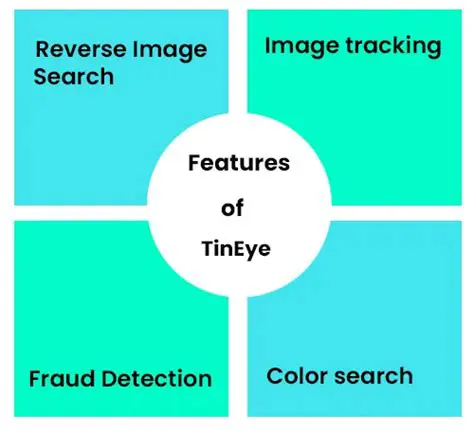 Features of TinEye Reverse Image Search