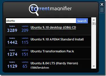 Features of Torrent Magnifier