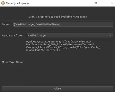 Features of Type Inspector