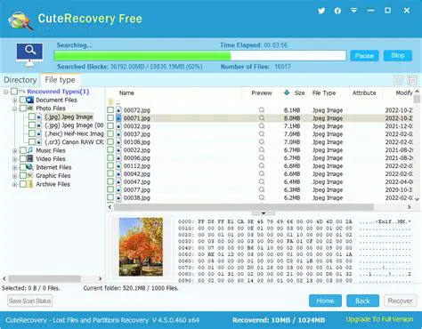 Features of Undelete Memory Stick