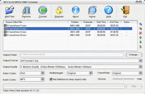 Features of WMV to AVI Converter