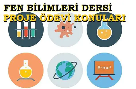 Fen Bilimleri Kategorileri