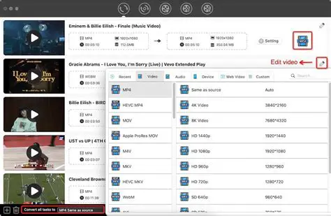 File Formats Supported by Video to iTunes Converter Ultimate